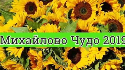 Михайлово Чудо 2019: оригинальные поздравления в прозе и открытки