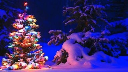 В Киеве откроют "Новогодние елки по мотивам сказок народов"