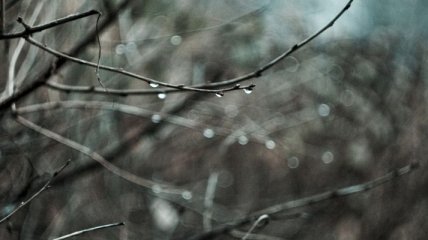Прогноз погоды в Украине на сегодня: дожди с мокрым снегом 