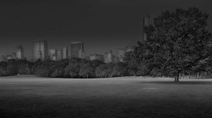 "В глубоком сне": центральный парк в снимках фотографа, страдающего бессонницей (Фото) 