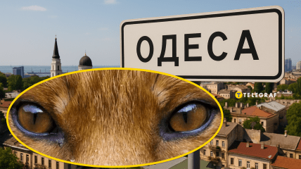 Тварина поводилася спокійно