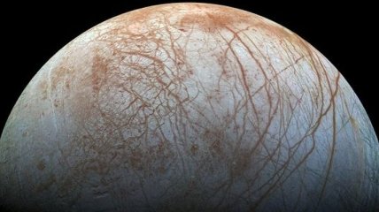 Экватор спутника Юпитера может опоясывать лес из ледяных игл