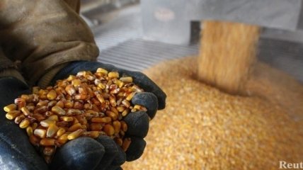Украина нарастила экспорт зерновых на треть