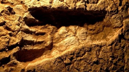 В Великобритании обнаружили древнейшие следы человека