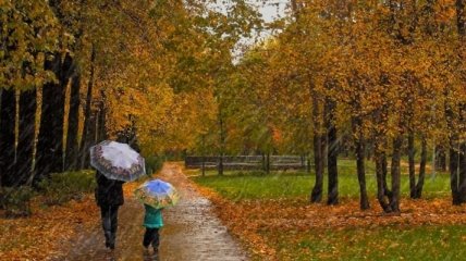 Прогноз погоды в Украине на 10 октября: ожидаются небольшие дожди
