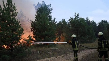 ДСНС: На Київщині горів військовий полігон