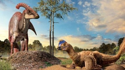 Ученые выяснили новые факты о динозаврах