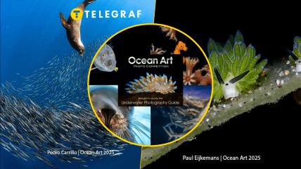 Ілюстративне фото