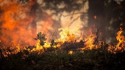 Пожары в Австралии могут привести к еще большему изменению погоды
