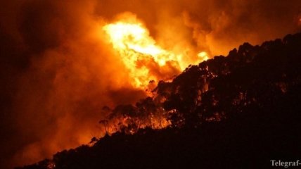 В Австралии продолжаются масштабные лесные пожары: уничтожено более 100 домов