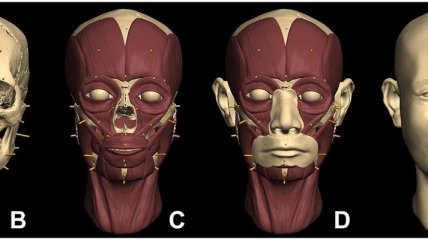 Ученым удалось воссоздать черты лица "инопланетянки" из Кенджу