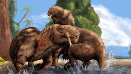 Ученые-палеонтологи назвали первых бодавшихся самцов