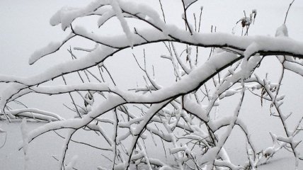 Погода в Украине 14 декабря: ожидается снег, местами без осадков 