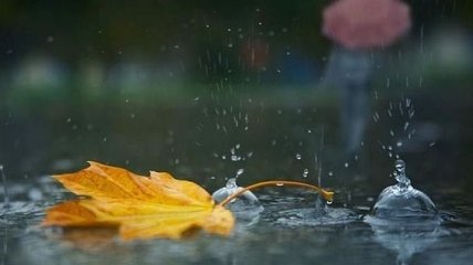 Погода в Украине 25 сентября: пасмурно, пройдут дожди 