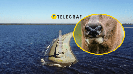 Київське водосховище