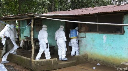 Масштаб эпидемии лихорадки Эбола недооценили