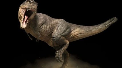 Ученые нашли предка тираннозавра