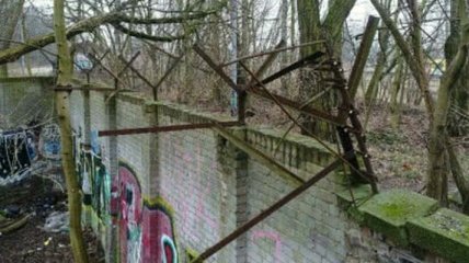 В Германии в лесу нашли неизвестный фрагмент Берлинской стены