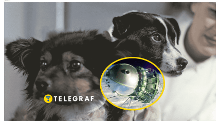 Иллюстративное фото