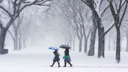 В Украину идут сильные снегопады и морозы: где ожидать непогоду 