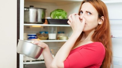 Что делать, если из холодильника воняет – советы