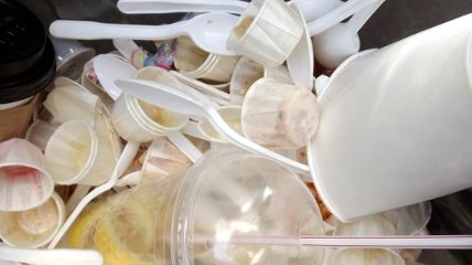 Швеция может запретить пластиковую посуду