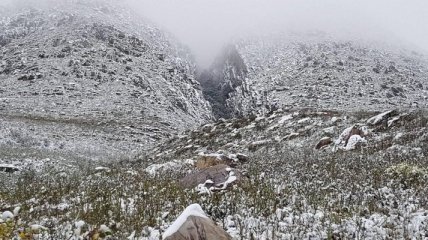 Побито 19 погодных рекордов: Южную Африку неожиданно засыпало снегом (фото, видео)