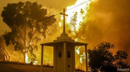 Лесные пожары в Португалии: люди выжили, прячась в цистерне с водой