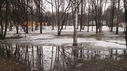 Погода в Украине на 5 февраля: осадки маловероятны 
