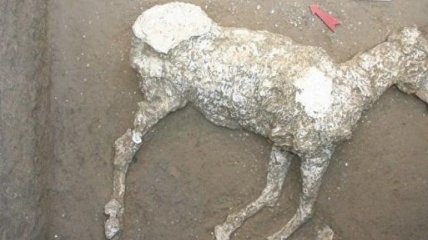 Археологи обнаружили в Помпеях древние конюшни и "мумию" лошади 