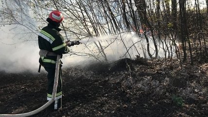 В Житомирской области пожар уничтожил восемь домов 