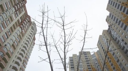 В Украине на 20% выросли объемы строительства жилья 