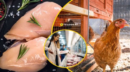 Как не ошибиться при покупке курятины