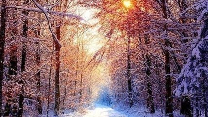 Погода на выходные 24-25 февраля: Украину накроют лютые морозы