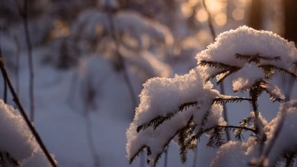Украинцам предсказали затяжную зиму