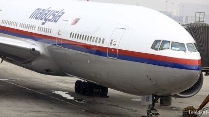 В Донецкой ОГА подтверждают факт падения малазийского авиалайнера