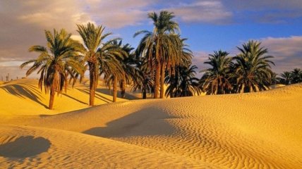 Ученые рассказали, во что в скором времени превратится Сахара