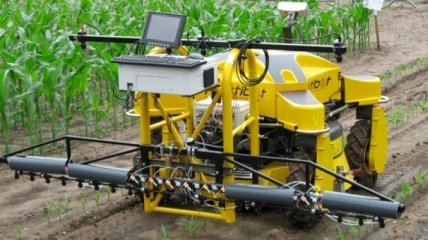 Япония инвестирует 37 млн долларов в создание роботов-фермеров