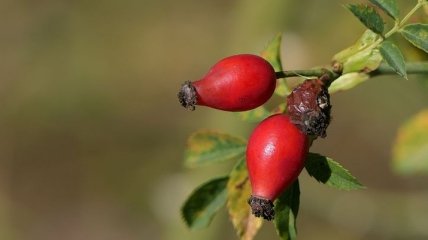 Приметы и обряды на 6 июня – День Симеона