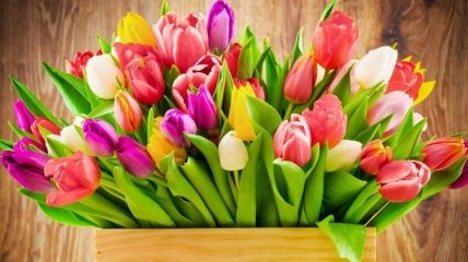 С 8 марта: красивые поздравления на украинском языке, открытки