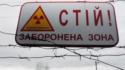 Участки под Чернобылем выкупают, застраивая их коттеджами 