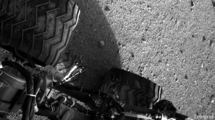 "Кьюриосити" мог доставить на Марс микроорганизмы