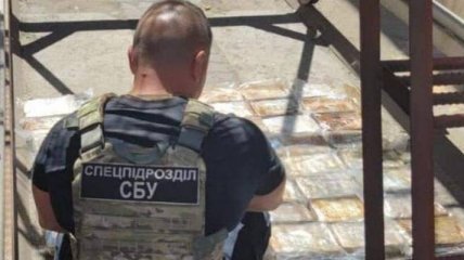 Бананы с кокаиновой "начинкой": в Одесском порту накрыли партию наркотиков на $10 млн (фото, видео)