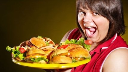 Медики нашли взаимосвязь между жирной пищей и работой мозга