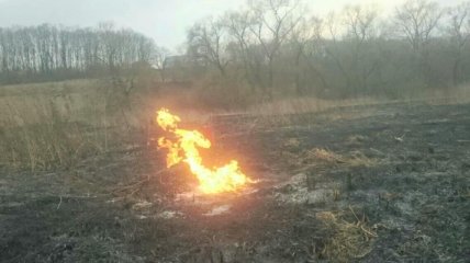 Возле Тернополя горел газопровод 