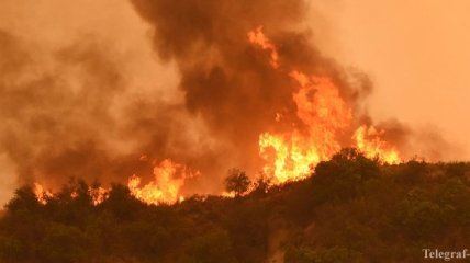 Пожары в Калифорнии уничтожили более тысячи домов