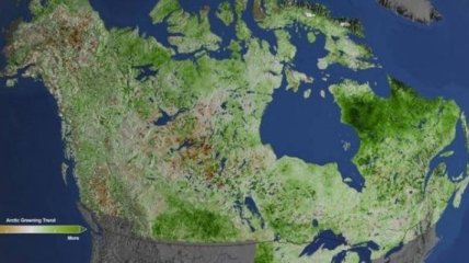 NASA изучает озеленение Арктики