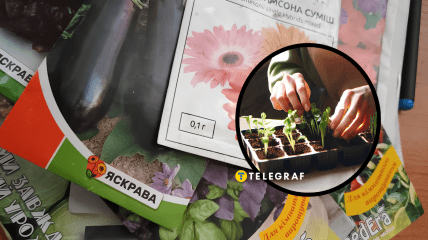 Сколько могут храниться семена до посадки