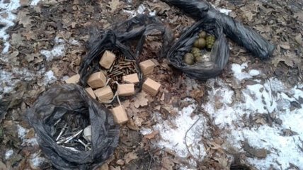 На Донбассе в стволе дерева нашли большой тайник с боеприпасами