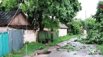 В Черниговской области смерч поднял и ударил об землю 2 детей
